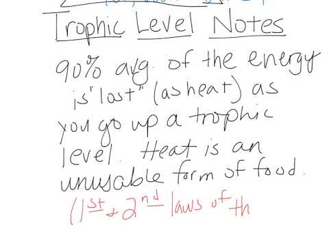 Trophic Level Notes