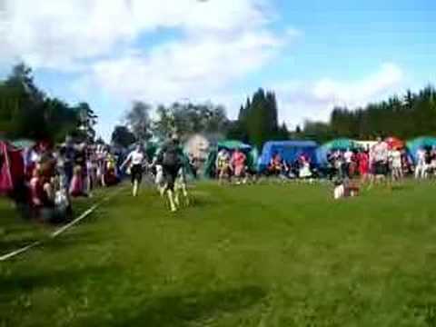 Saluki Speciality 2008 in Finland