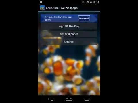 Aquarium Live Wallpaper Video