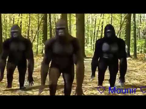 أغنية خويا حك ليلي نيفي