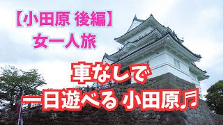 【小田原後編】女一人旅 車なしで一日遊べる小田原/おススメのお食事処&小田原城