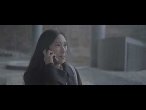 비디오 22