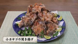 カサゴ