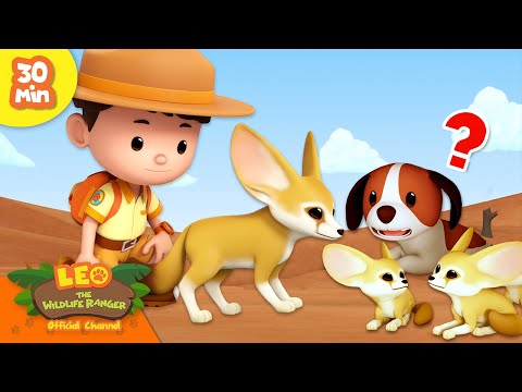 Witness21 Editor  2024 01 25