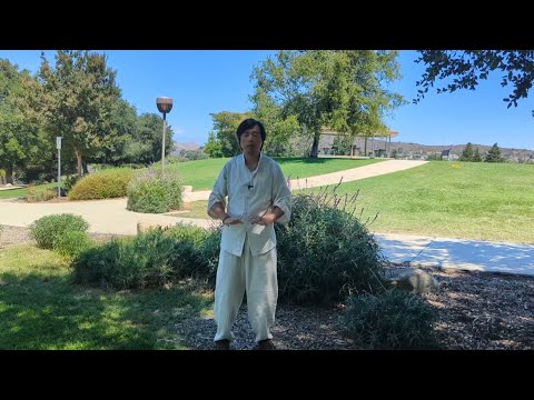 Golden Bell Qigong Unlocked: Powerful Energy, Healthy Body