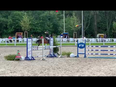 5j. Holsteiner Stute v. Kannan, geb. 2015