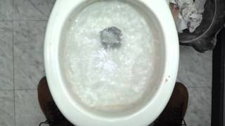 preview picture of video 'Vintage Celite Toilet'
