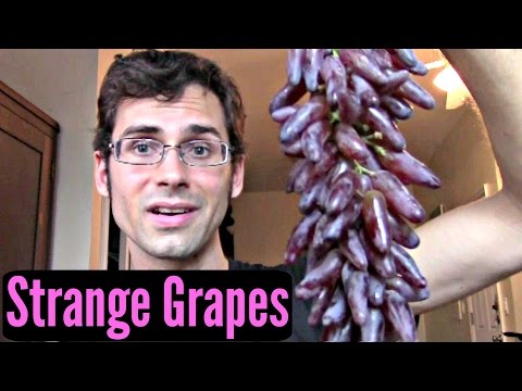 , title : 'Strange Grape Varieties - Weird Fruit Explorer Ep. 189