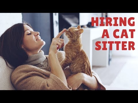 YouTube video about: How long should a cat sitter stay?