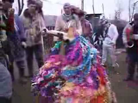 valaretul din Avramesti judetul Vaslui 2013/2014