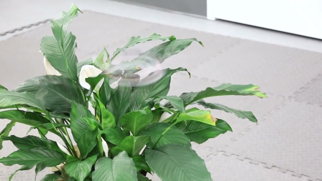 New drone nearly disappears in flight - YouTube