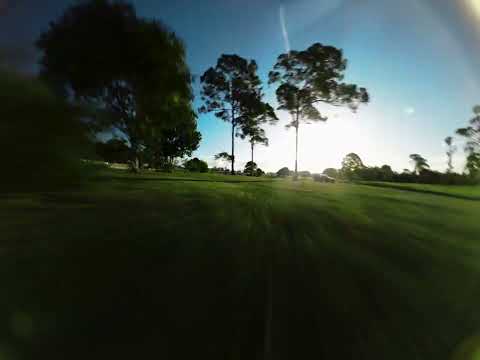 FPV - With The Birds / R.I.P AOS 3