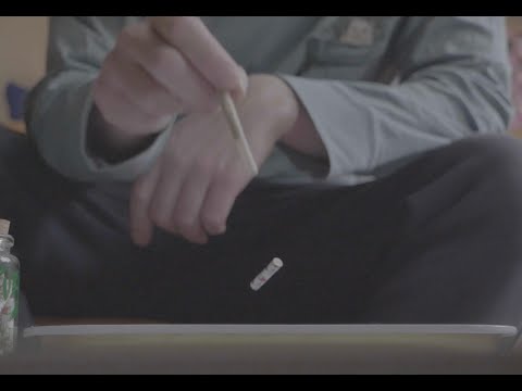 Fällt der Filter - Vini Paff (prod. vini paff) Official Snippet