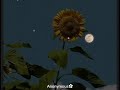 Dekha Jo Tumko Slowed Reverb