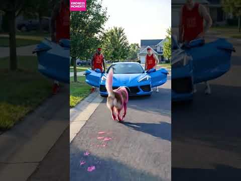 Kindness 🐶 Basketball Mishap Leads to Pink Chaos! #kindness #basketball #shorts