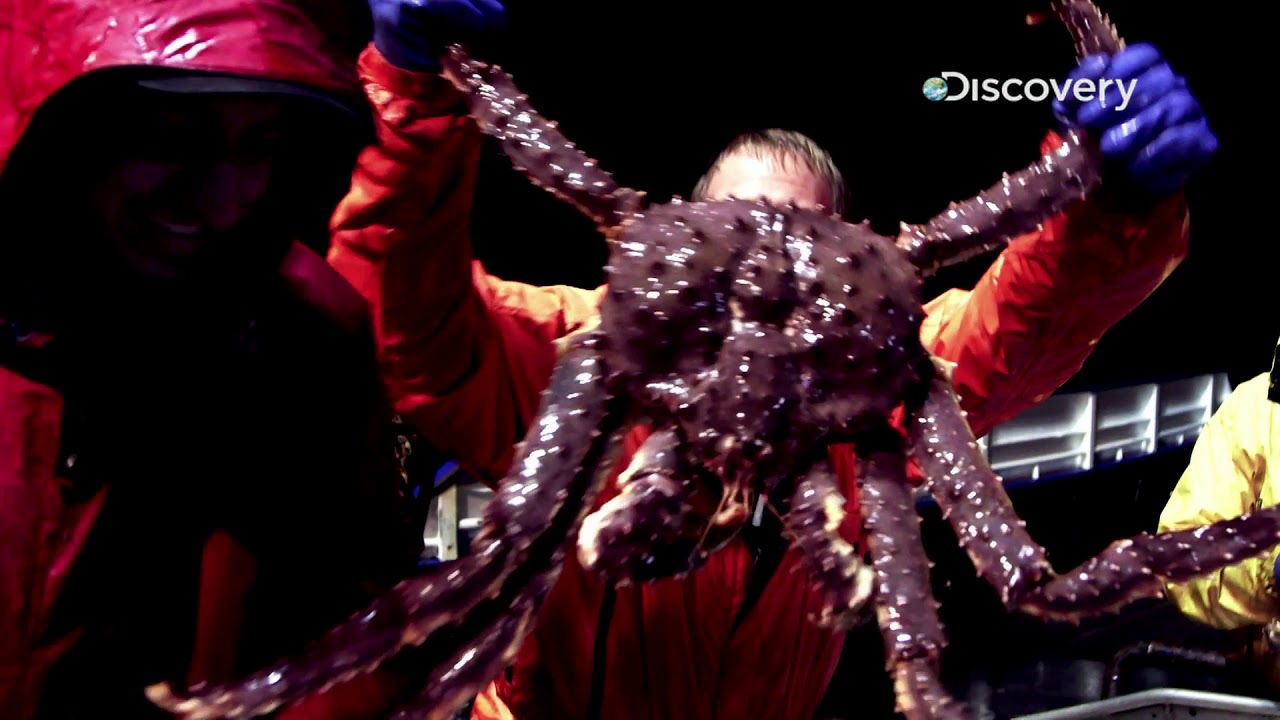 The hunt for the Alaskan King Crab | Deadliest Catch S12