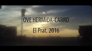 Los aviones no pueden volar.