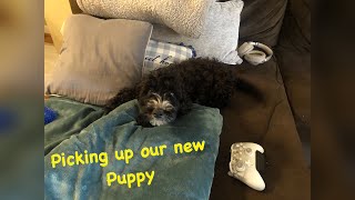 Picking up our new puppy!