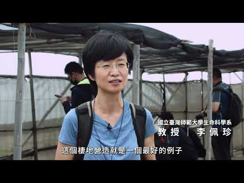 小燕鷗棲地營造與繁殖監測紀實影片(精華版)