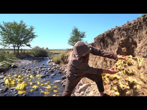 Gold Finds Worth Millions! 25-Kilogram Nuggets