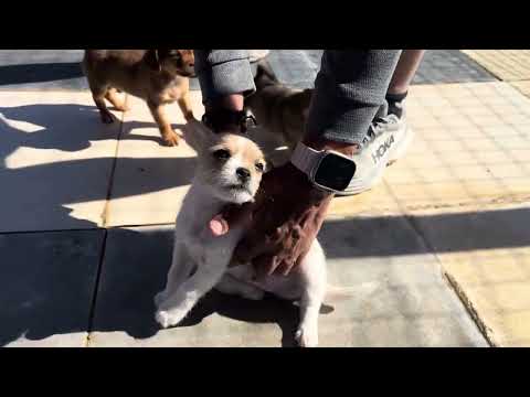 Vídeo de MISSY