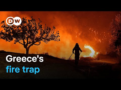 How Athens is preparing for the next wildfire catastrophe | Focus on Europa