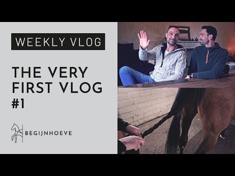 Why Do Horses Get Hair Extensions? | Begijnhoeve | Weekvlog #1