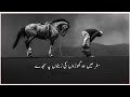 Zameeno Py Sajde Naat WhatsApp Status Jumma Mubarak WhatsApp Status