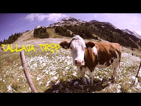 Chipsi ft. Valton - Tallava Trip (Music Video) - 2014