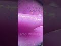 SAGA professional Builder Gel magic 2 (лиловый с разноцветной поталью),15 мл