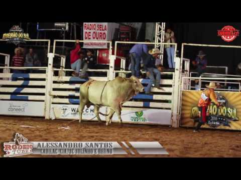 Alessandro Santos Vs Cadilac Cia. JC Julinho e Bruno Nota: 87,25