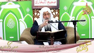 النور الساري ـ البخاري ( 238 ) باب الخشوع في الصلاة ـ الشيخ مصطفى العدوي ح 741 744  تاريخ 12  2 2025