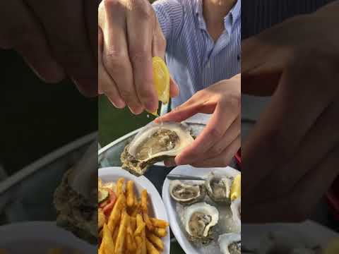 Fresh Raw Oysters
