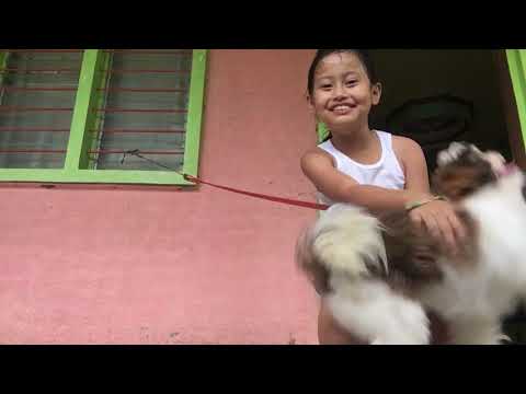 Me and my dog #elisha channel