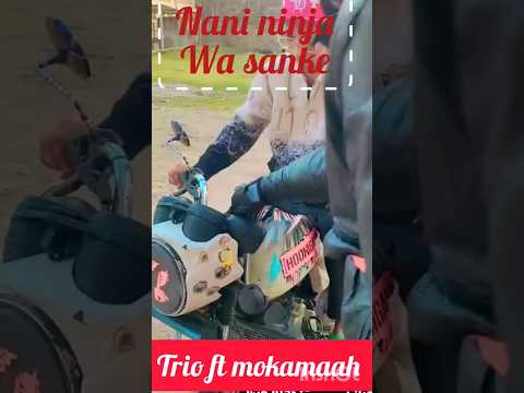 Green Kwa kichwa 👐💯 sewerdya ft GTA tv @Rongrambo9 #fypシ #triomio #sucribete