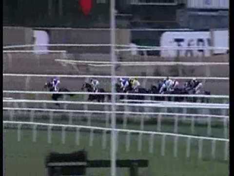 STOCKHOLMS STORA PRIS (GR 3)  2009