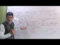 Biology Chapter Reproduction |reproductive system and Gametogenesis  in Urdu