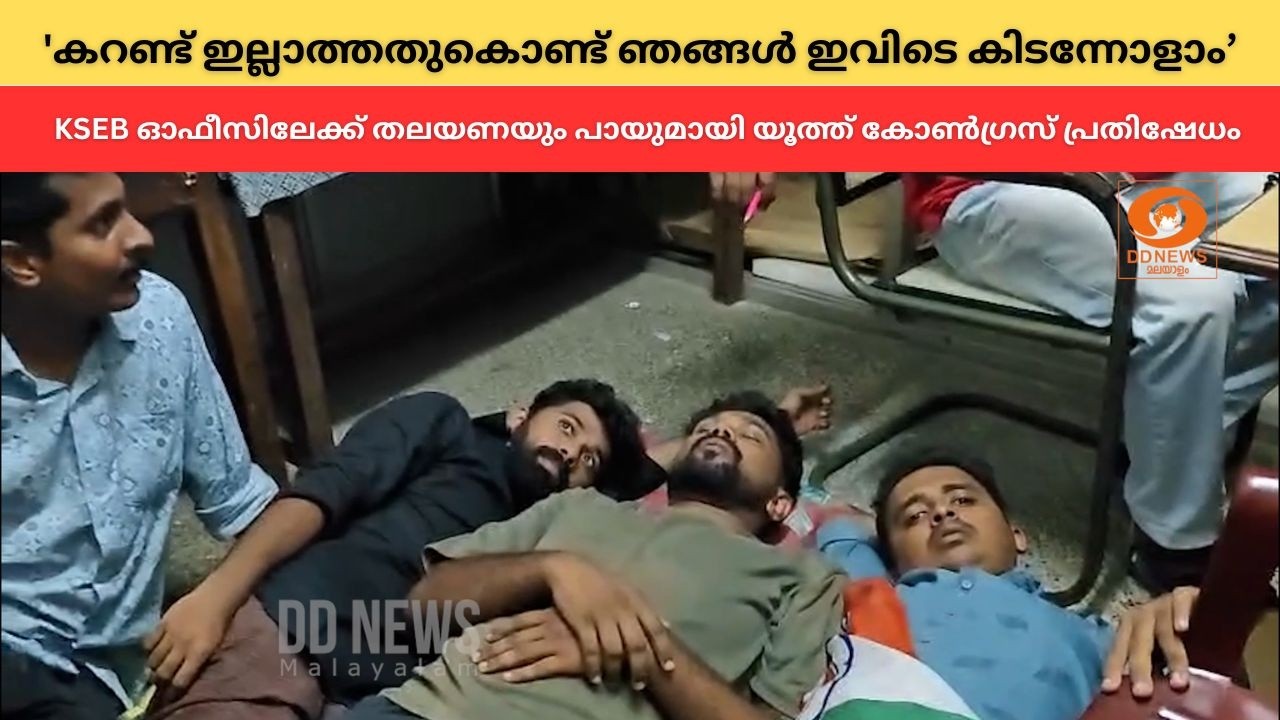 കെഎസ്ഇബി തൊടുപുഴ സെക്ഷൻ ഓഫീസിലേക്ക് തലയണയും പായുമാ