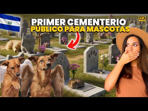 THE FIRST PUBLIC CEMETERY FOR DOGS IN EL SALVADOR 😱