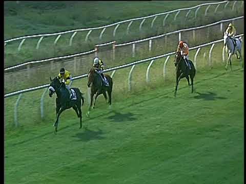 Galoppo 08/11/2017 - 4ª corsa