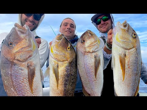 SNAPPER FISHING with Live bait - The Island Ep.1