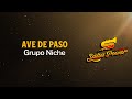Ave De Paso, Grupo Niche, Video Letra - Salsa Power