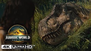 [閒聊] 侏儸紀世界重生 原來是鬣蜥暴龍