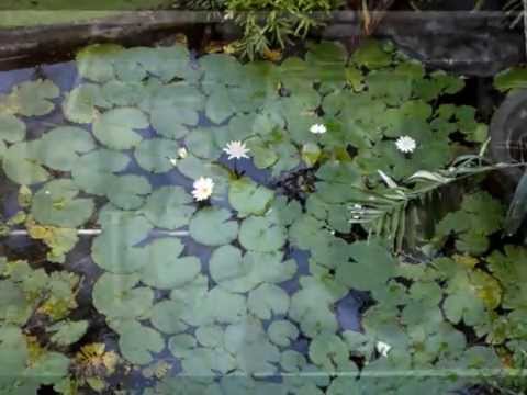 Nadjeni Bog VIS Jukic