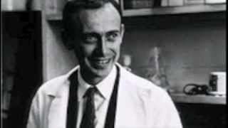 maria mckee "everybody"