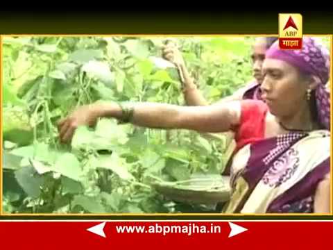 712 : Shetitil Navdurga : Promo today at 0730PM : 22:09:2017