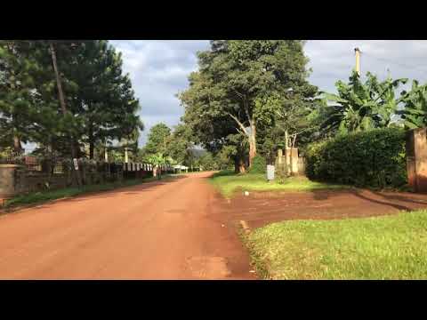 JINJA Street Walk