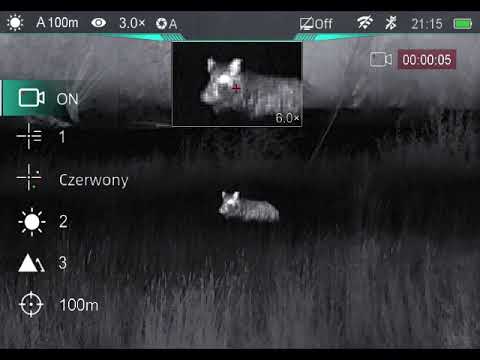 InfiRay Tube TL35SE - Wild Boar Shoot
