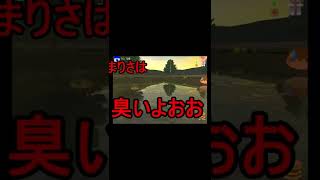 【ゆっくりにっき】魔理沙は臭いよお！