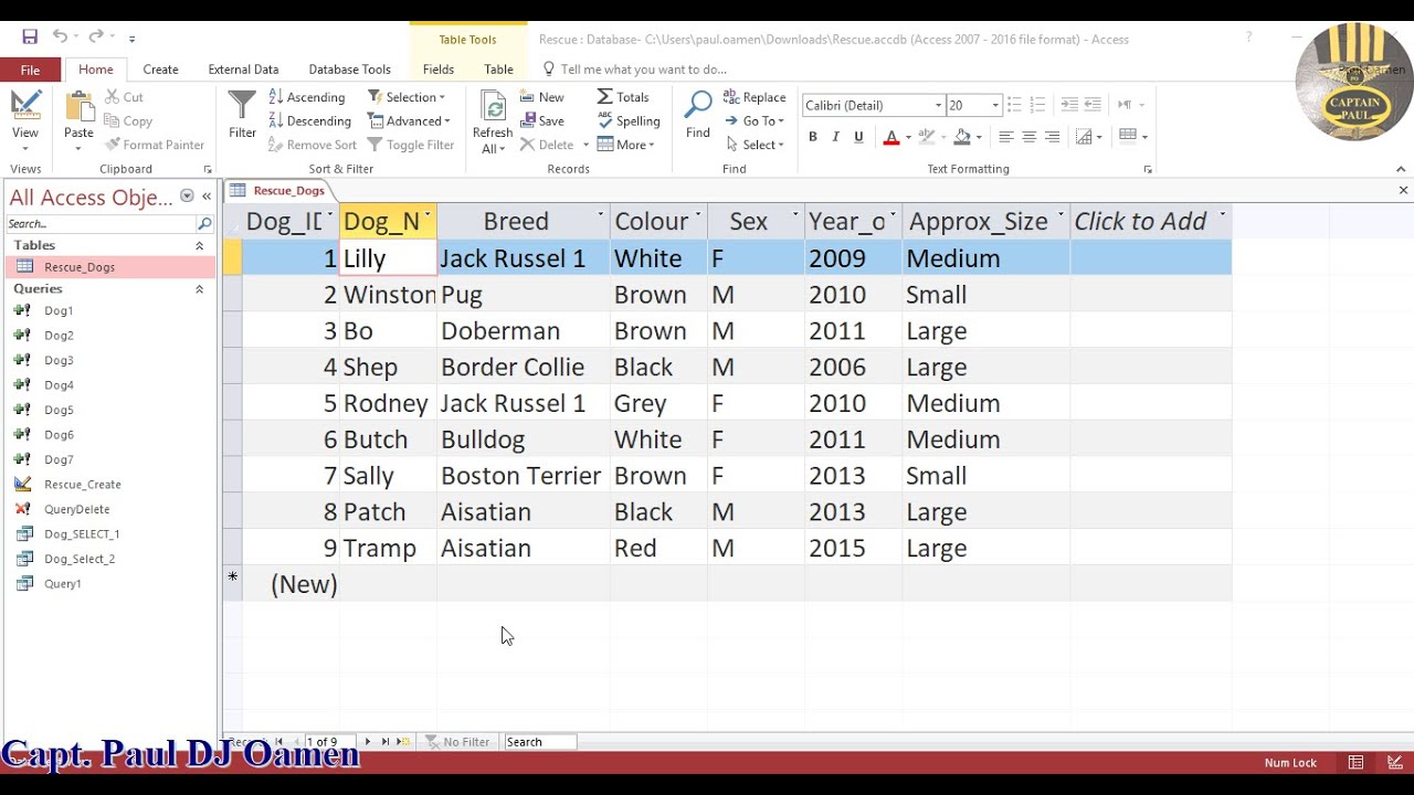 How to update a table in SQL using access? Tipseri